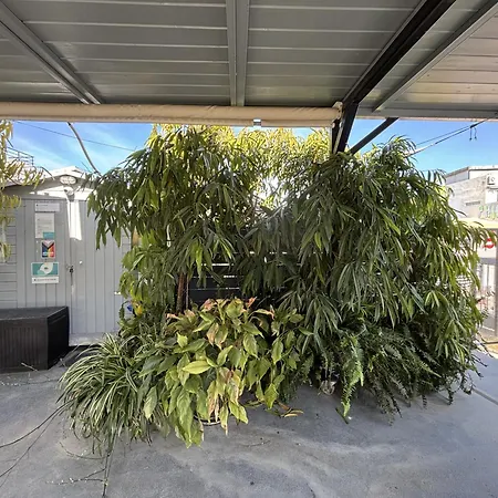 Monastiraki #Wallsfree Citycenter- Unspoiled Athens Apartments-3